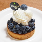 奈良で味わいたい絶品ケーキ！手土産や観光の休憩に寄りたい人気店10選