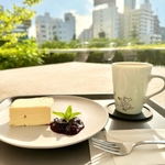 六本木のオープンテラスがあるカフェ10選！贅沢な開放感を満喫