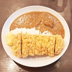 南武線各駅停車カツカレーの旅（後編）宿河原駅～川崎駅