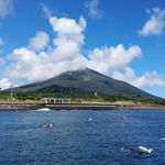 八丈島のお店選びに困ったらココ！