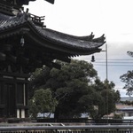 ★奈良観光にオススメ！★古都の雰囲気でゆったりランチ 9選