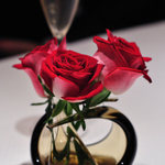 【都内】フレンチレストランで優雅な女子会♪