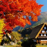 白川郷で色づく秋を楽しみながら食べ歩き【岐阜】