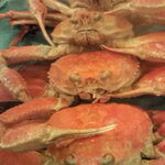 【石川県】蟹をいただけるお店10選【加能・香箱】
