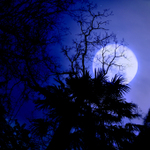 銀座で深夜営業している店。