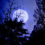 中野で深夜営業している店。 