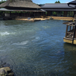 熊本「絶景」海・山・川＆美味しお店