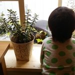 キッズメニューのある子連れに嬉しい熊本のお店 食べログまとめ キッズメニューのある子連れに嬉しい熊本のお店 食べログまとめ