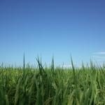 新潟の旬な食材『づくし』なお店