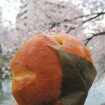 東京の桜の開花が発表になりました　お口の中にも桜のパン咲かせましょう