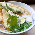 讃岐うどんの天ぷらうどん20選 ＃1