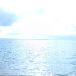 沖縄人による沖縄そば考察