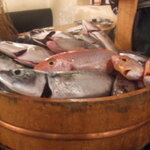 私の行った魚の美味しいお店あれこれ