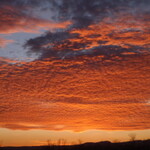 酔いたんぼの、酔いたんぼによる、酔いたんぼのための居酒屋