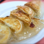 蒲田で美味しい餃子が食べられるお店12選