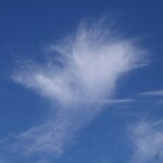 我輩が愛したうどん