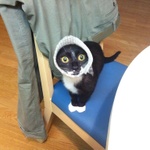 県道68号線 ドラゴンロード完全制覇の巻