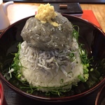 鎌倉でしらすを食べるならココ！鎌倉の絶品グルメ8選