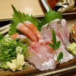 沼津駅北口でお酒と魚を味わう！おすすめの居酒屋8選