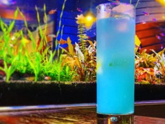 Blue Fish Aquarium ブルーフィッシュ アクアリウム ダイニングバー バー カフェ 京都 市役所前 食べﾛｸﾞ 日本最大級の口ｺﾐ ｸﾁｺﾐ ｸﾞﾙﾒｻｲﾄ