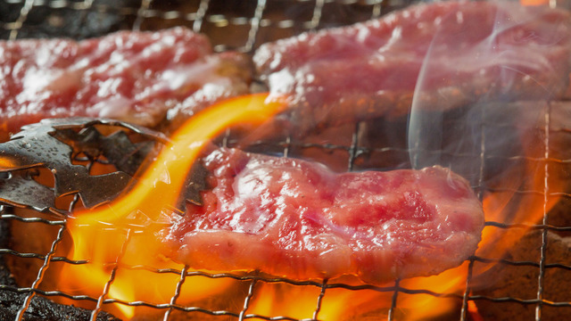 焼肉 ホルモン 溝の口 ひゃくてん 溝の口 焼肉 ネット予約可 食べログ