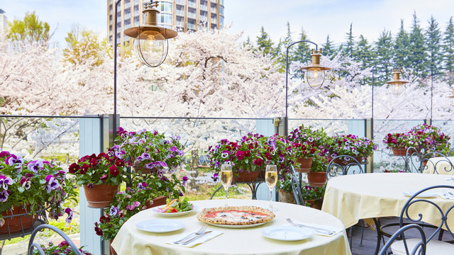 ナプレ 東京ミッドタウン店 Napule 乃木坂 ピザ 食べログ ナプレ 東京ミッドタウン店 Napule 乃木坂 ピザ 食べログ