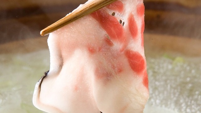 博多 ほてい屋 下川端町本店 中洲川端 居酒屋 ネット予約可 食べログ