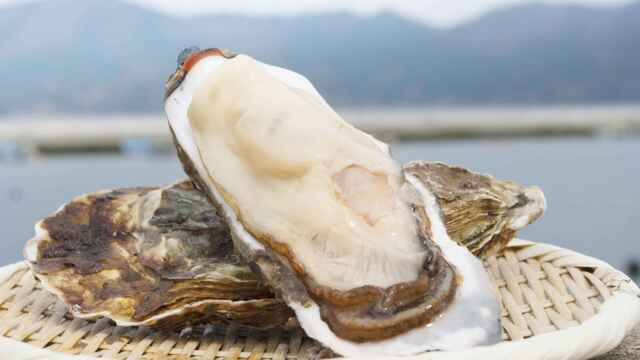 四十八漁場 大宮西口店 大宮 魚介料理 海鮮料理 食べログ 四十八漁場 大宮西口店 大宮 魚介料理 海鮮料理 食べログ