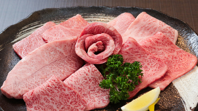 焼肉 わがんせ 本厚木 焼肉 ネット予約可 食べログ