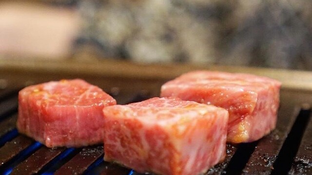 焼肉 こじま 本店 恵我ノ荘 焼肉 ネット予約可 食べログ