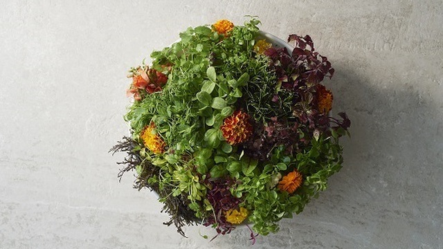 Q E D Club キューイーディー クラブ 中目黒 フレンチ ネット予約可 食べログ