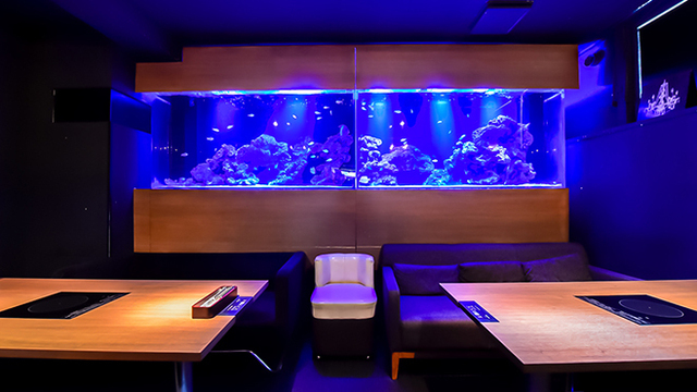 Akivic Aquarium Dining アキビック アクアリウム ダイニング 平和通 ダイニングバー ネット予約可 食べログ