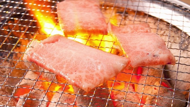 和牛焼肉食べ放題 肉屋の台所 町田店 町田 焼肉 ネット予約可 食べログ 和牛焼肉食べ放題 肉屋の台所 町田店 町田 焼肉 ネット予約可 食べログ