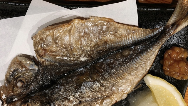 絶好鳥酒場 みらいチッキン みらい平 居酒屋 ネット予約可 食べログ