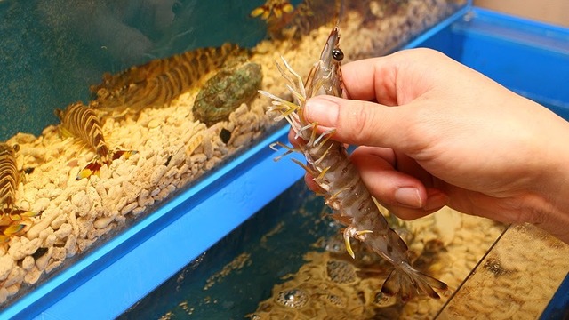 サカナメルカート ゼン 池袋wacca店 池袋 魚介料理 海鮮料理 ネット予約可 食べログ サカナメルカート ゼン 池袋wacca店 池袋 魚介料理 海鮮料理 ネット予約可 食べログ