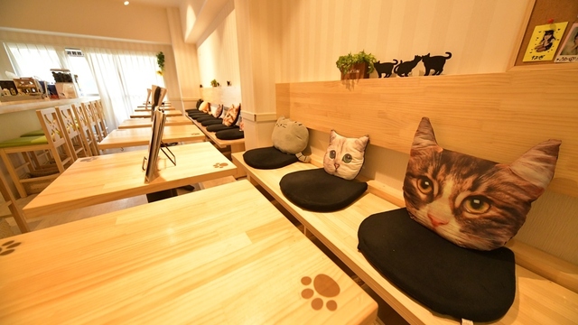 猫の隠れ家 末広町 カフェ 食べログ