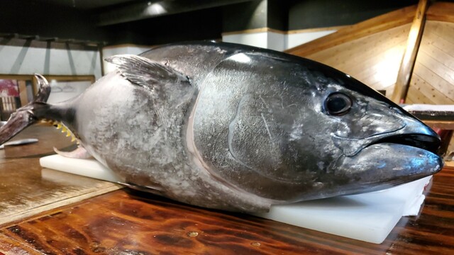 ざうお 難波本店 ザウオ 日本橋 魚介料理 海鮮料理 食べログ