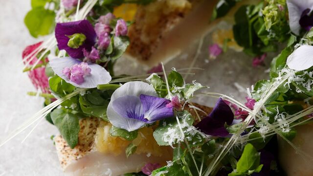 オペラ The Opera 国際センター モダンフレンチ ネット予約可 食べログ