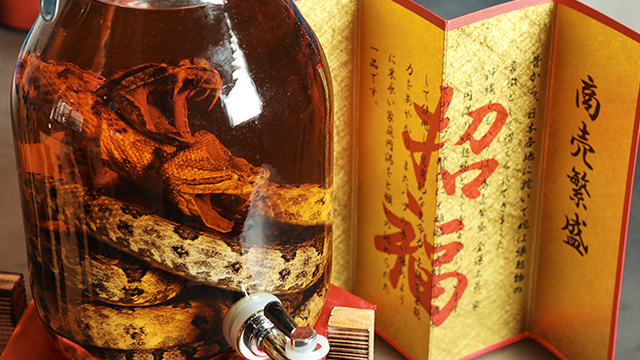 国分寺 沖縄居酒屋 島崎屋 国分寺 居酒屋 ネット予約可 食べログ 国分寺 沖縄居酒屋 島崎屋 国分寺 居酒屋 ネット予約可 食べログ