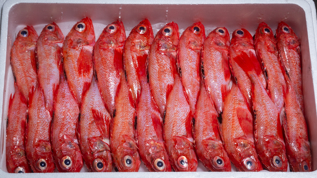 さかなやま 本場 （さかなやまほんじょう）のご予約 - 伏見/居酒屋