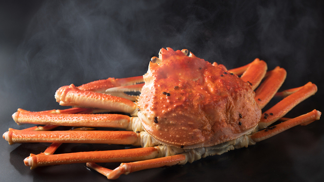 Ginza Kani Matsu - メイン写真: