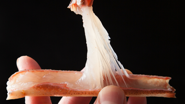 Ginza Kani Matsu - メイン写真: