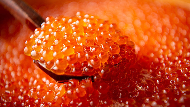 海鮮居酒屋 ハレルヤ 新橋店のご予約 - 新橋/居酒屋 | 食べログ