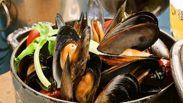 切手03 松本城とアルプス 長野県 | ふるさと切手,1993年発行 | 切手の専門