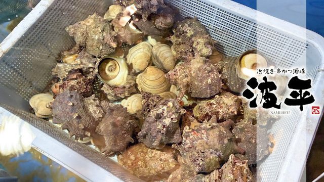 浜焼きと串カツ 海鮮居酒屋 波平 弁天町店のご予約 - 弁天町/居酒屋