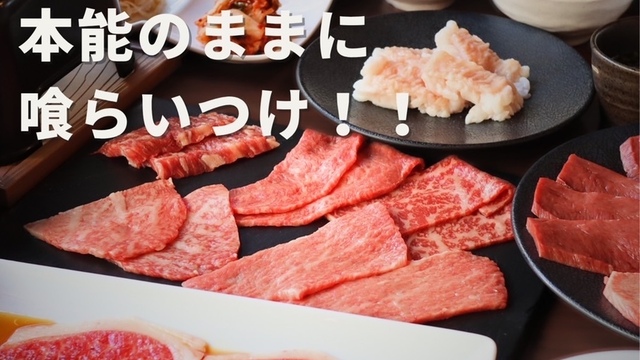 NO MEAT, NO LIFE.2nd （ノーミート ノーライフ セカンド）のご