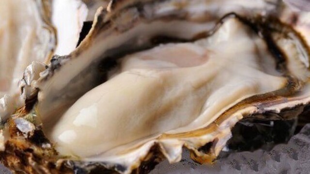 さかな様注文分 さかなさま 北千住本店のご予約 - 北千住/海鮮 | 食べログ
