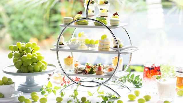 夕食ページ XEX WEST(ゼックスウエスト)（西梅田/イタリアン（イタリア料理