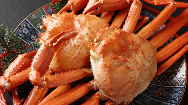 笹舟（値下交渉可） 銀座方舟 川崎ラチッタデッラ店のご予約 - 川崎/日本酒バー | 食べログ