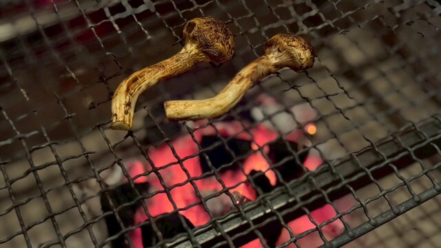 MyRoom雲母 （きらら）のご予約 - 広尾/ろばた焼き | 食べログ